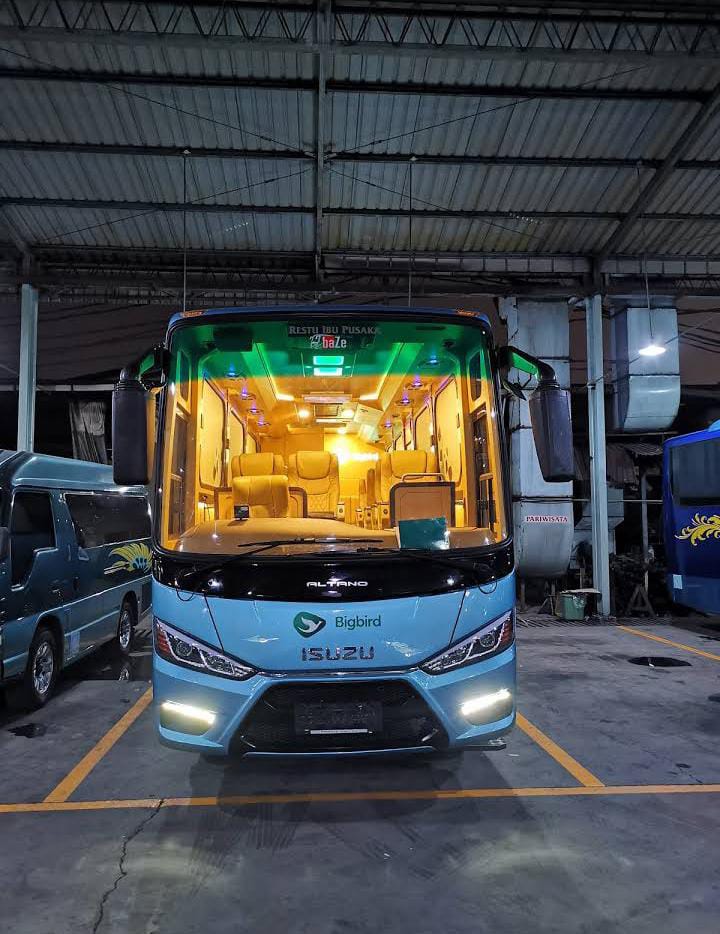 Big Bird Bravo Premium